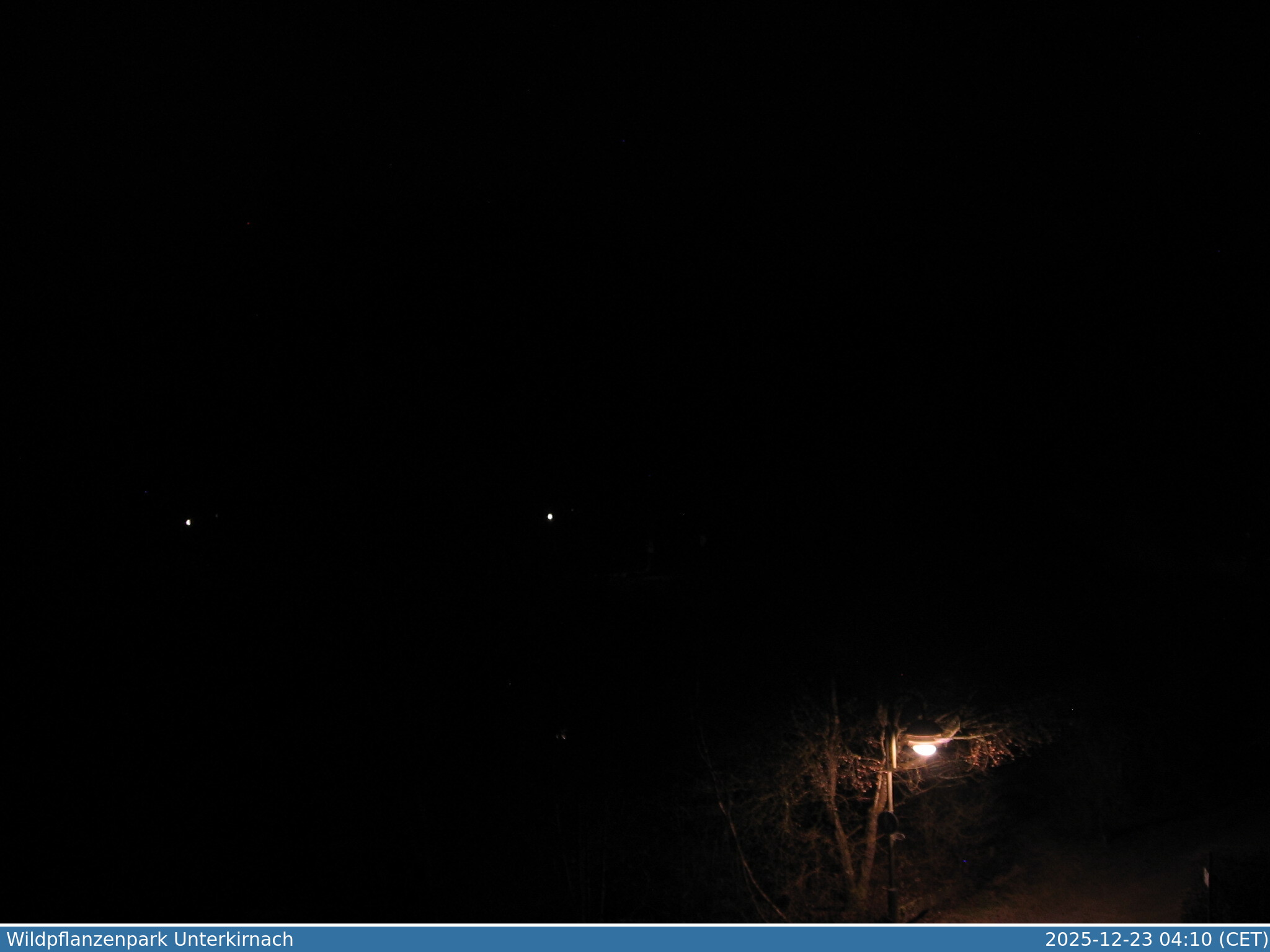 Webcam 78089 Unterkirnach, Blick auf den Wildpflanzenpark